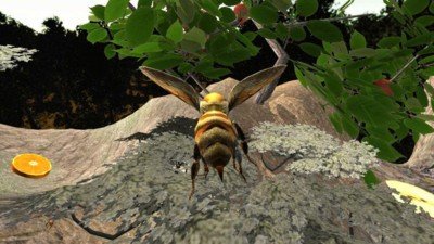 蜂巢模拟器3d截图1