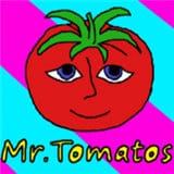 番茄先生图标