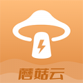 蘑菇云app官方版