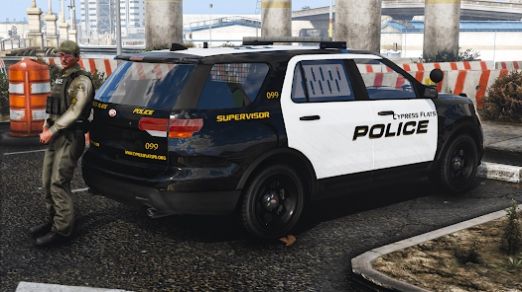 警察追车3D手机版截图1
